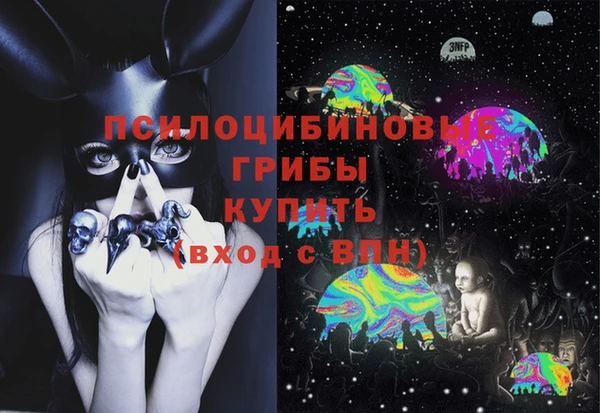 эйфоретик Медногорск