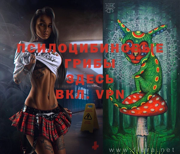 герыч Медвежьегорск