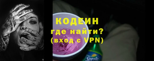 индика Новый Уренгой