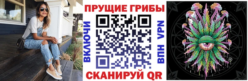 Псилоцибиновые грибы Psilocybe  Махачкала 