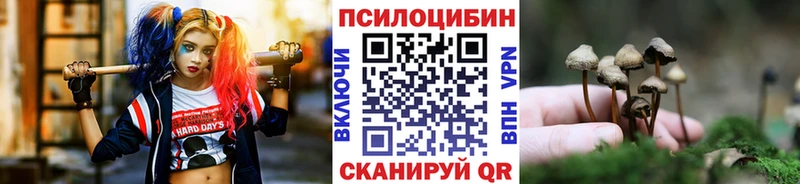 Псилоцибиновые грибы мухоморы Махачкала